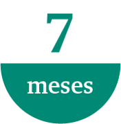 7meses de metodologia