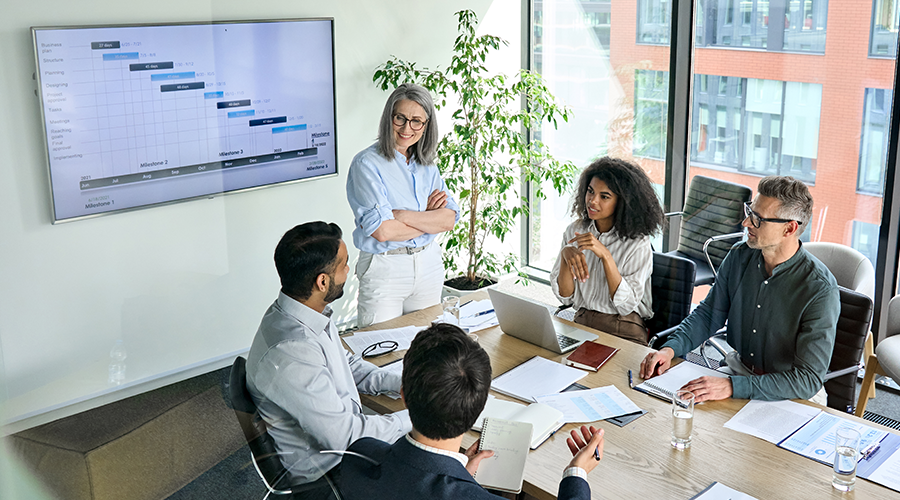 cuales-son-los-elementos-de-un-plan-de-gestion