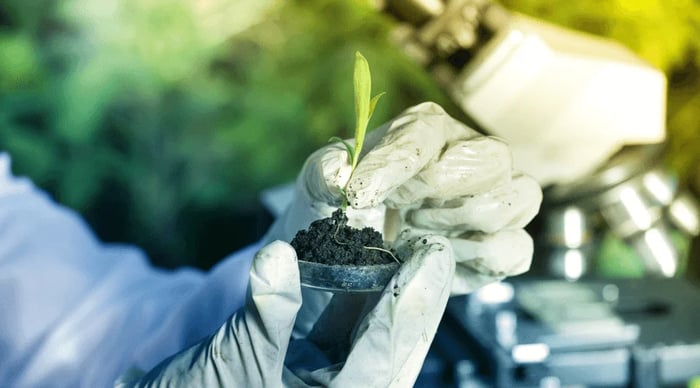 webp_biotecnologia-y-bioinsumos-agricolas