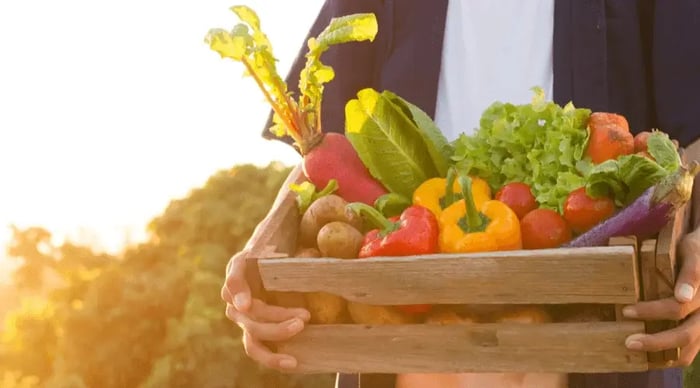 webp_comercio-electronico-de-alimentos