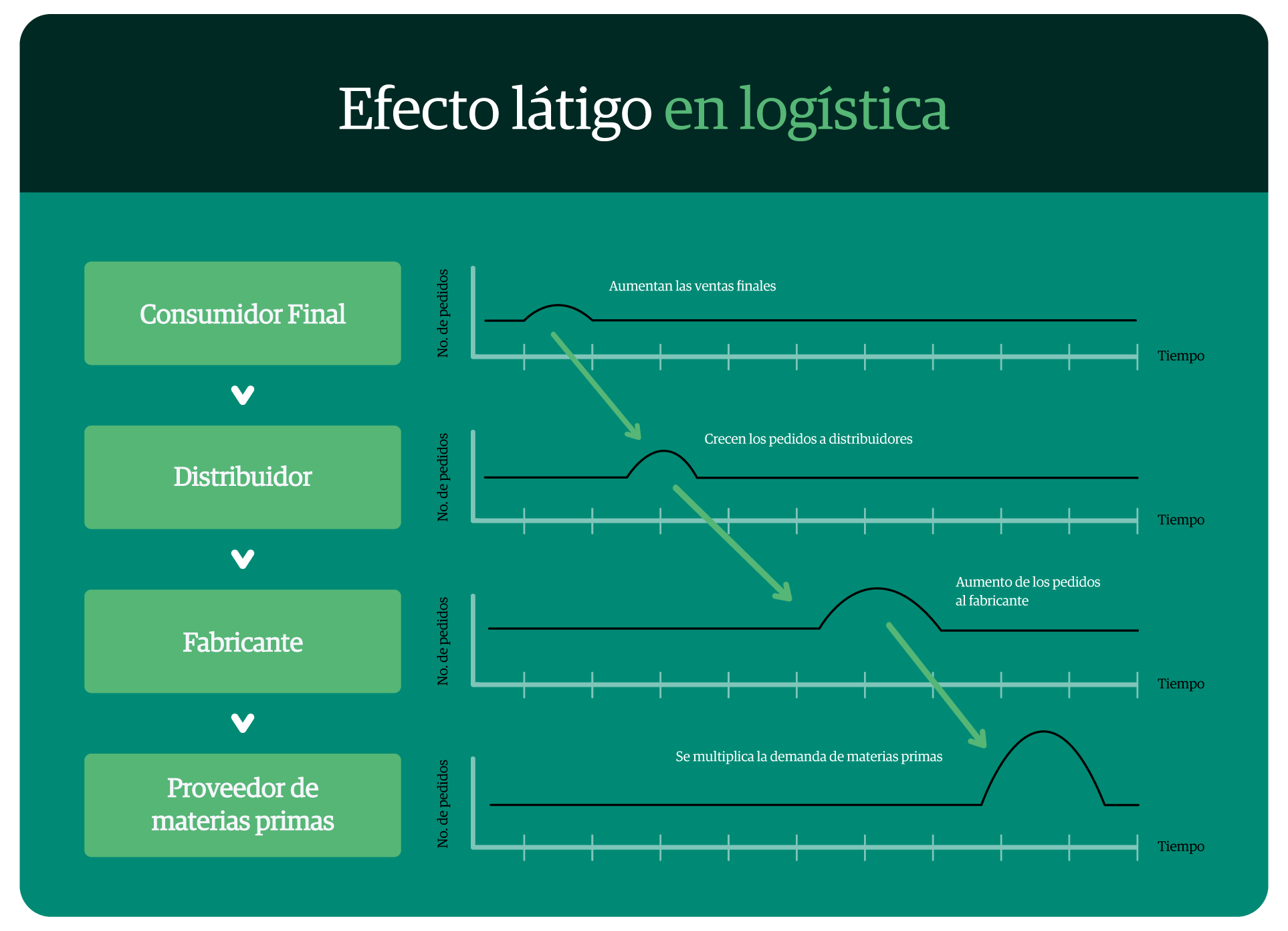 infografia-efecto-latigo-en-logistica