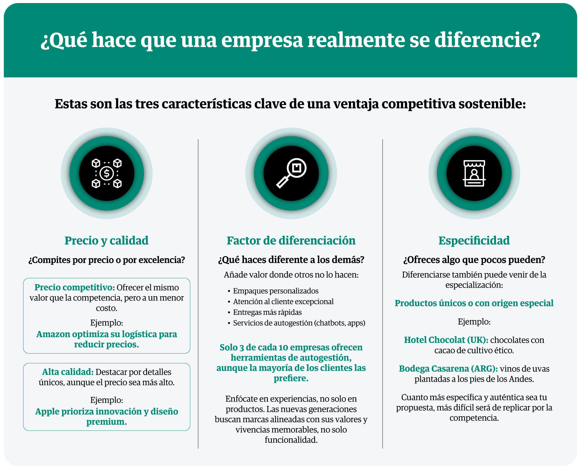 infografia-que-hace-que-una-empresa-realmente-se-diferencie