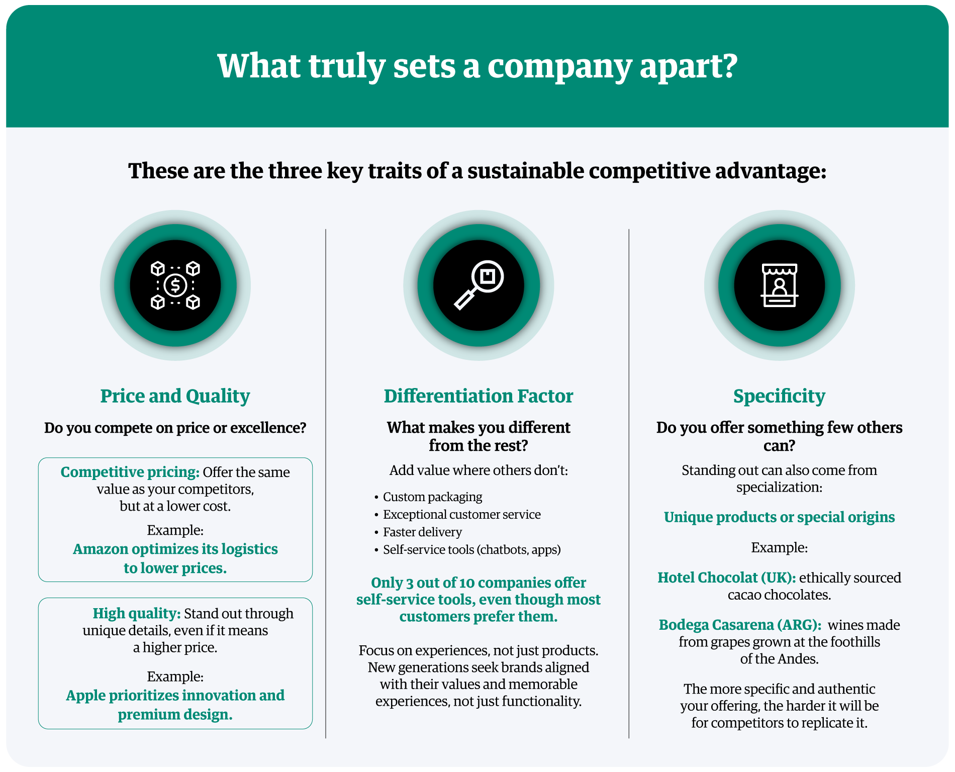 infographic-what-truly-sets-a-company-apart
