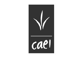 logo_caei