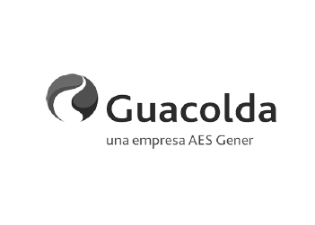 logo_guacolda