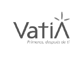 logo_vatia