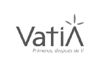 logo_vatia