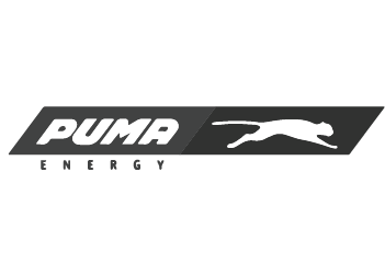 log-puma